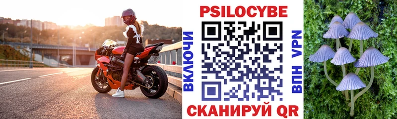 Псилоцибиновые грибы GOLDEN TEACHER  Елабуга 