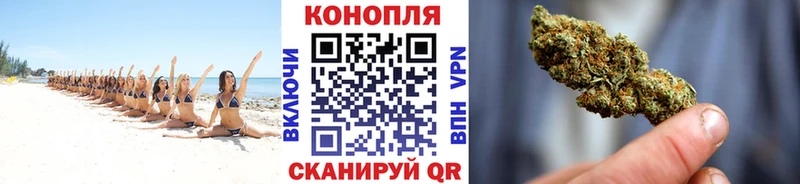 Марихуана сатива  KRAKEN вход  Елабуга 